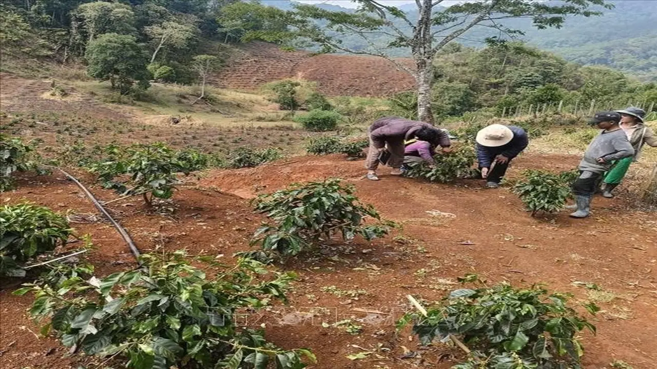 إقليم كوانغ نغاي يطلق تحذيرات من طقس متطرف بسبب الأمطار غير الموسمية